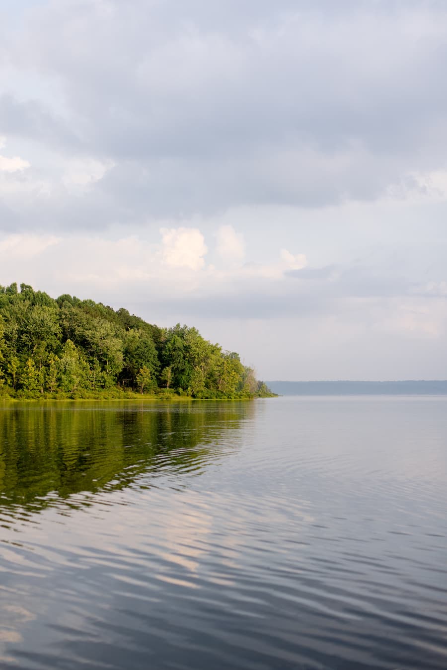 Steep slopes in the watershed pose a particular challenge, Cohen says, because they make runoff “move much faster than on flatter land, carrying more sediment and nutrients farther.” | Photo by Anna Powell Denton