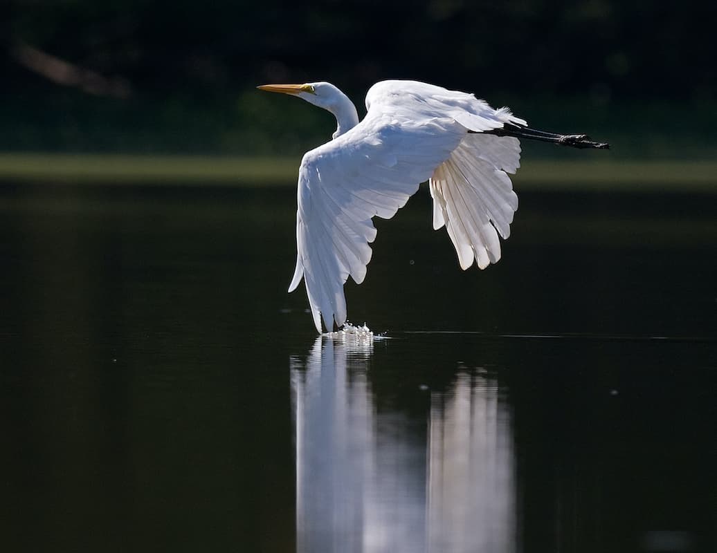 Photo by Jeff Danielson