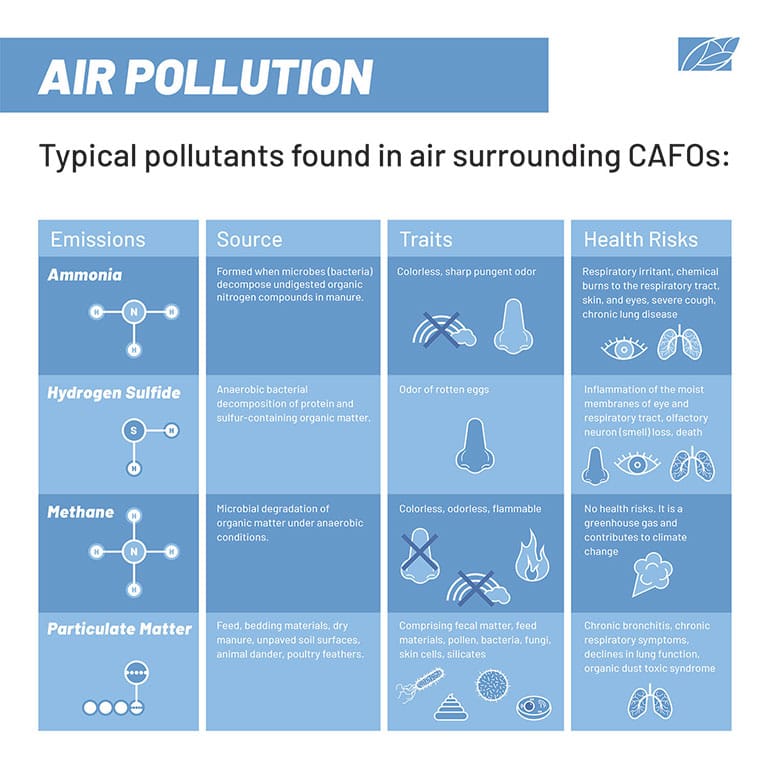 Illustration by Sophia Chryssovergis