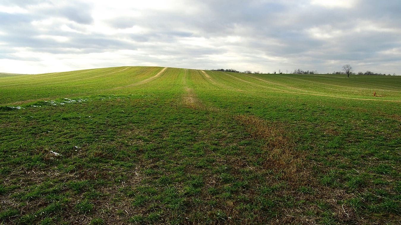 The proposed site of the Riverview Energy coal-to-diesel plant in Dale.