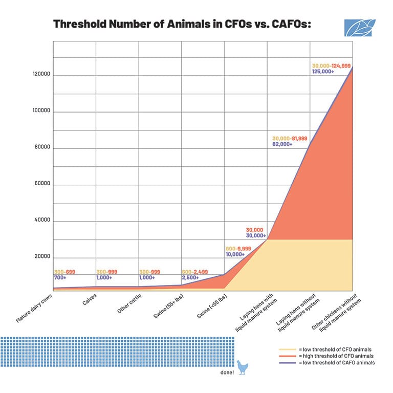 Illustration by Sophia Chryssovergis