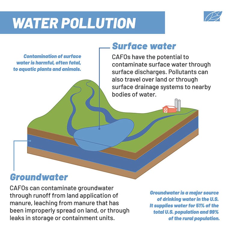 Illustration by Sophia Chryssovergis