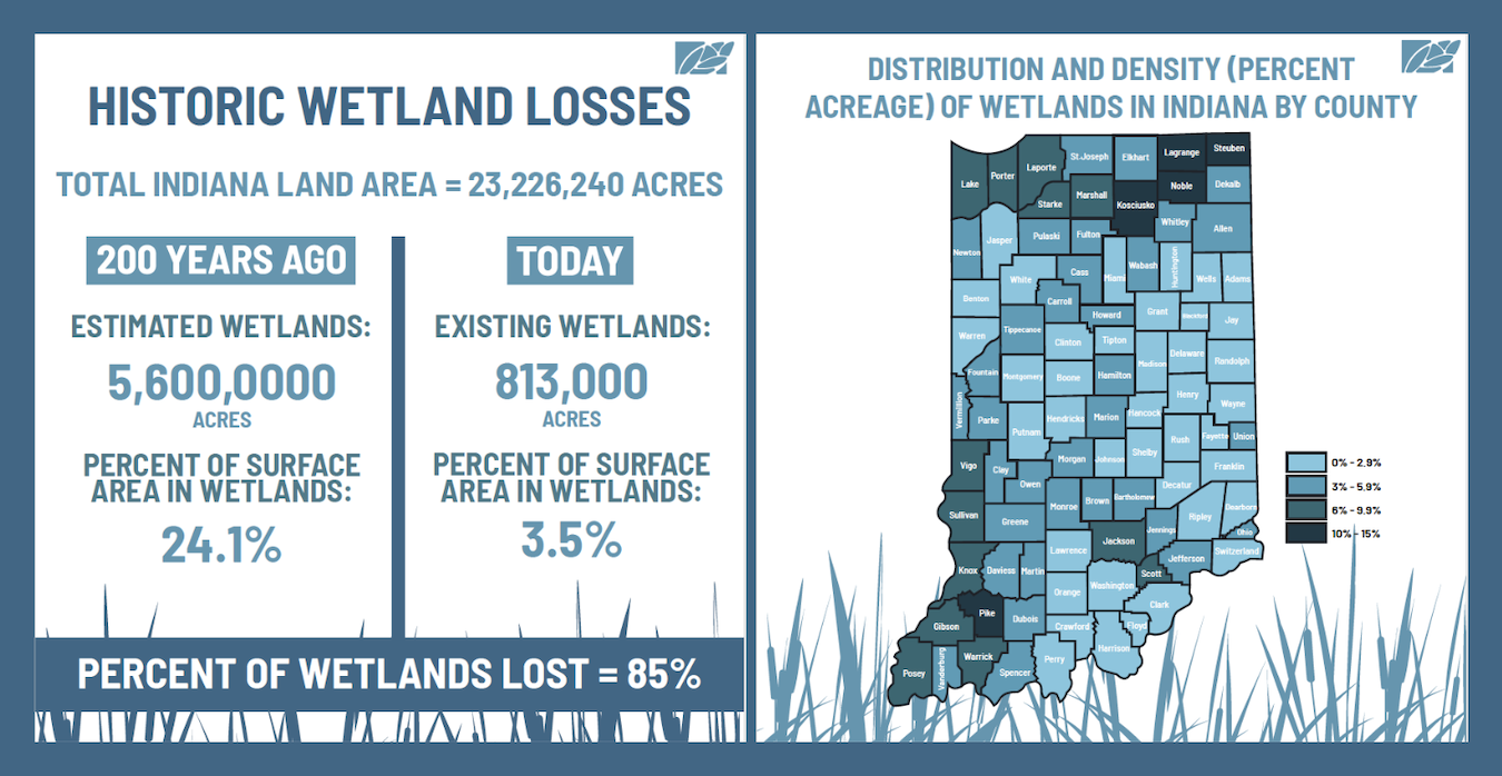 Source: <a href="/content/files/dnr/fish-and-wildlife/files/statusof.pdf" target="_blank">Indiana Department of Natural Resources</a> | Graphic by Melanie Roberts for the Indiana Environmental Reporter
