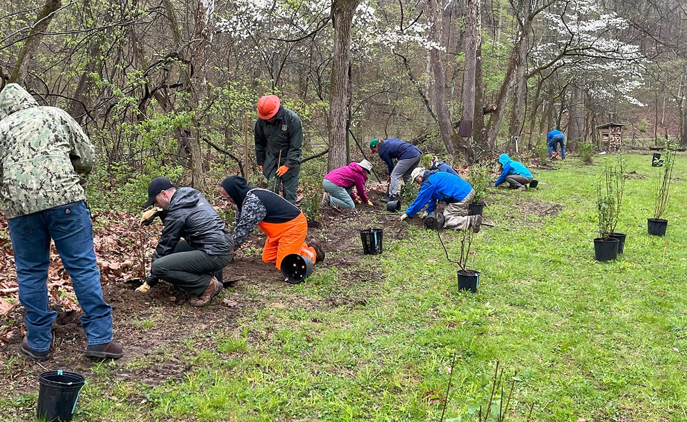 Volunteers with the Lake Monroe Water Fund plant native trees and shrubs along Clay Lick Creek in Brown County in 2023. Lake Monroe’s watershed extends into six counties, and one of the water fund’s goals is to encourage good practices in watershed management. | Photo by Michelle Cohen
