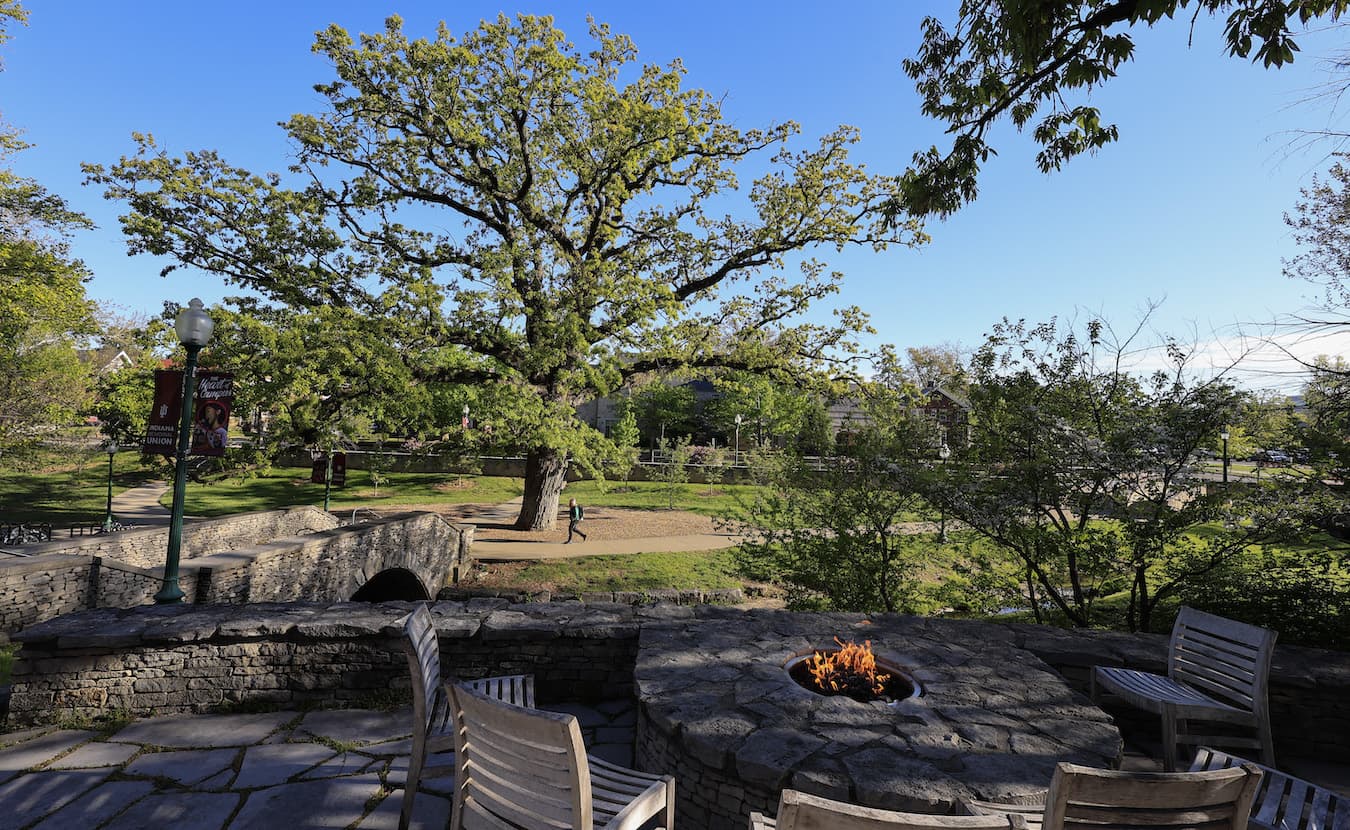 Photojournalist Jeremy Hogan, founder of “The Bloomingtonian” news site, took photos for Deep Dive articles on political polarization, written by Marjorie Hershey, and IU Tree Inventory, written by Laurie D. Borman. | Photo by Jeremy Hogan/The Bloomingtonian