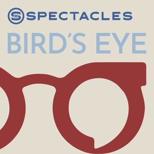 What is Bird's Eye?
