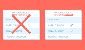 Making American Elections Healthier | Bird's Eye
