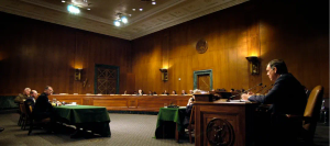 Interim Interruptions | Insight