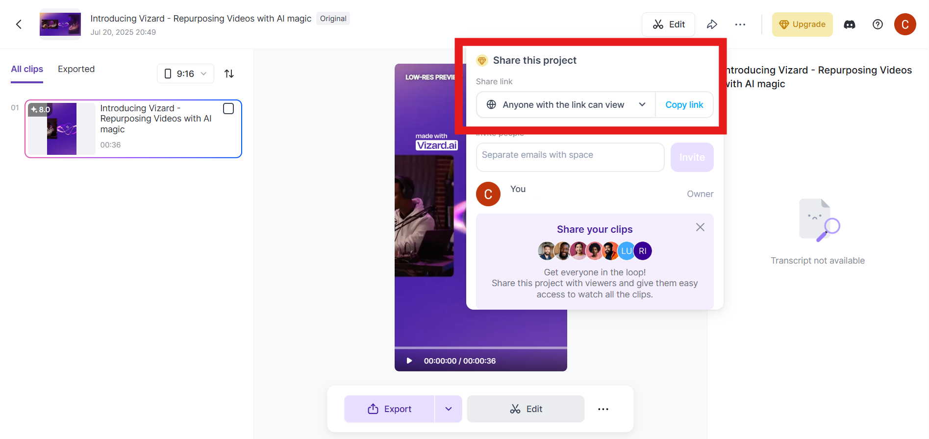 Vizard interface showing sharing options to copy a view link and invite collaborators.