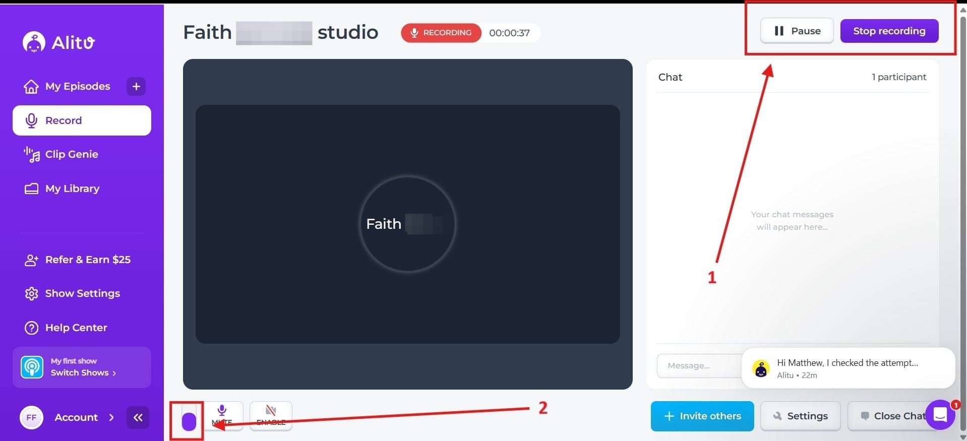 Here you see the Pause and Stop Recording controls along with the audio volume indicator.