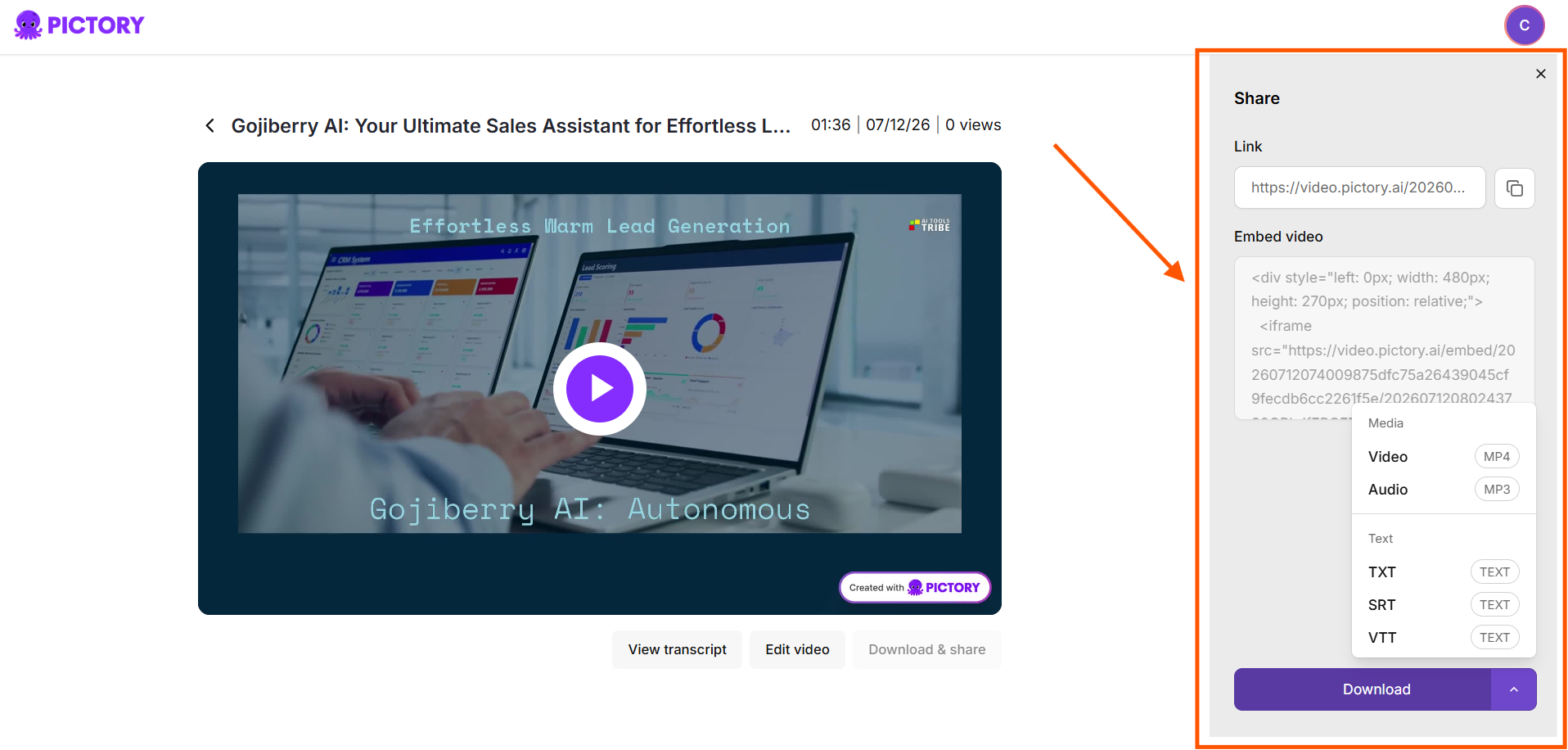 Screenshot of Pictory AI's share panel.