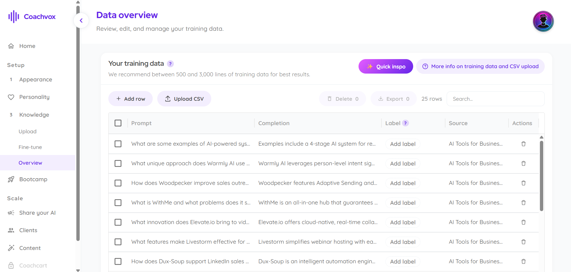 Coachvox data overview table listing prompt-completion training pairs.