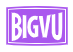 Bigvu logo