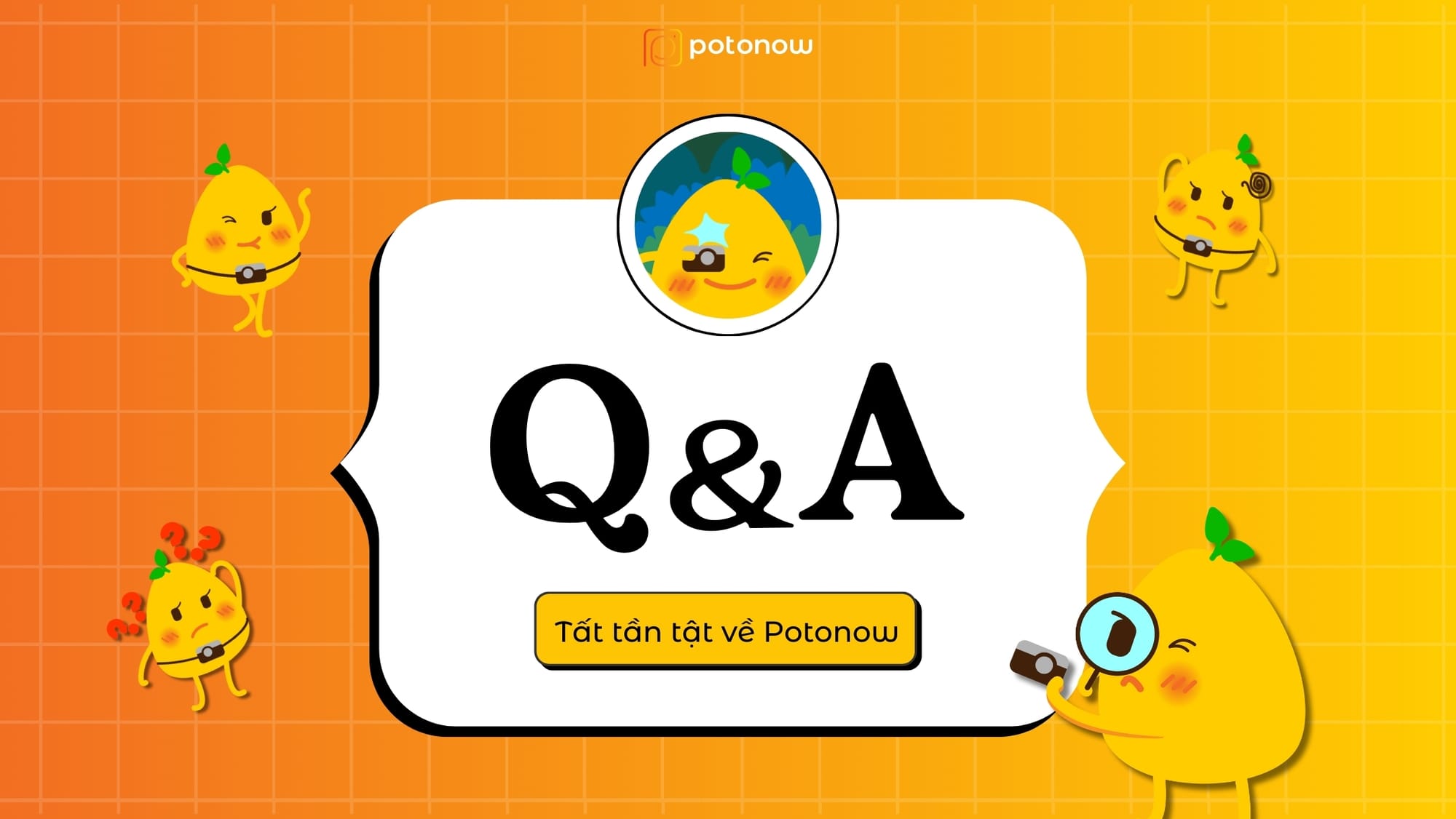 [Q&A] Tất tần tật về Potonow - nền tảng đặt lịch chụp hình đầu tiên tại Việt Nam