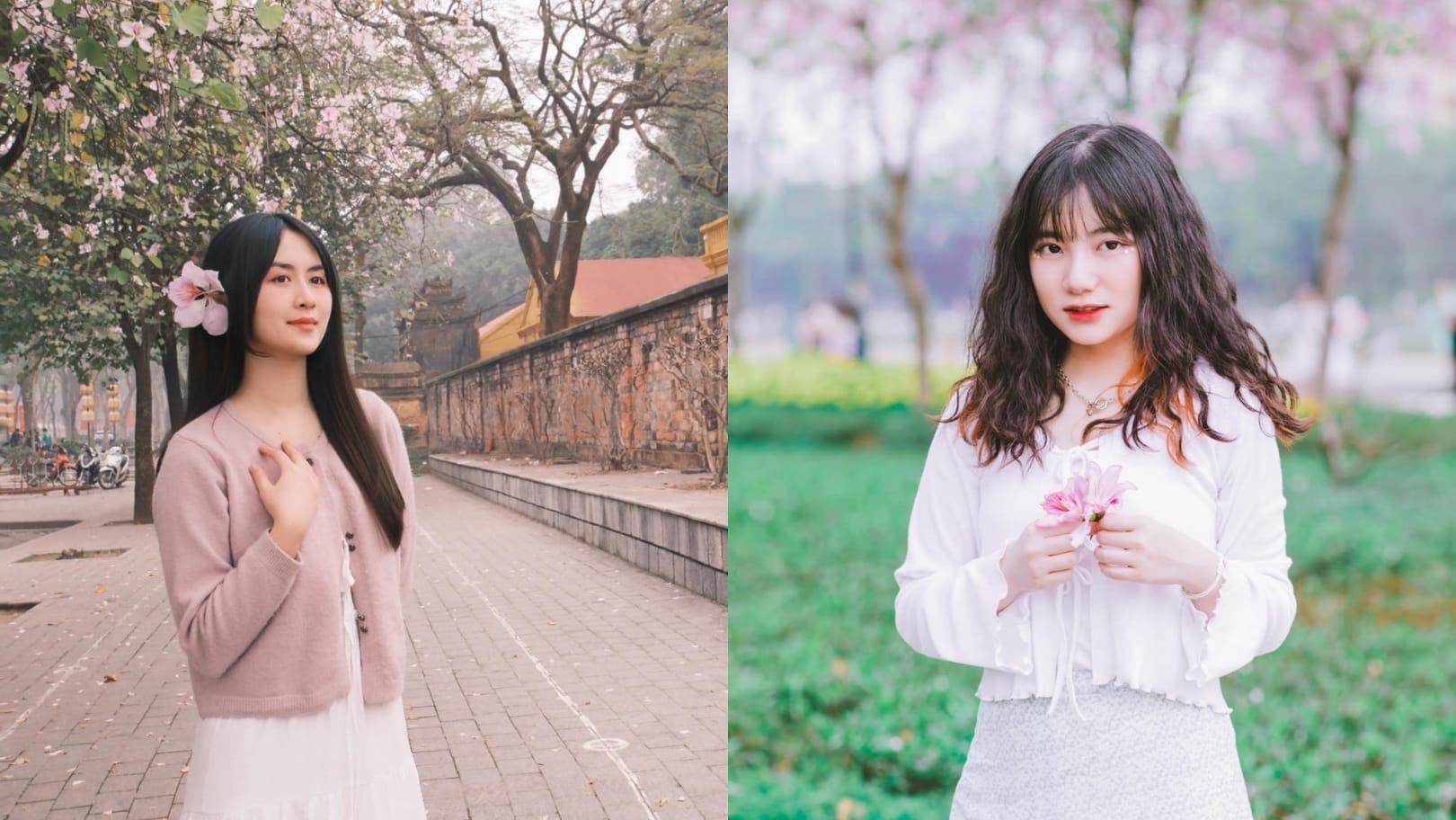 Mách bạn cách tạo dáng và địa điểm check-in chụp ảnh hoa ban Hà Nội