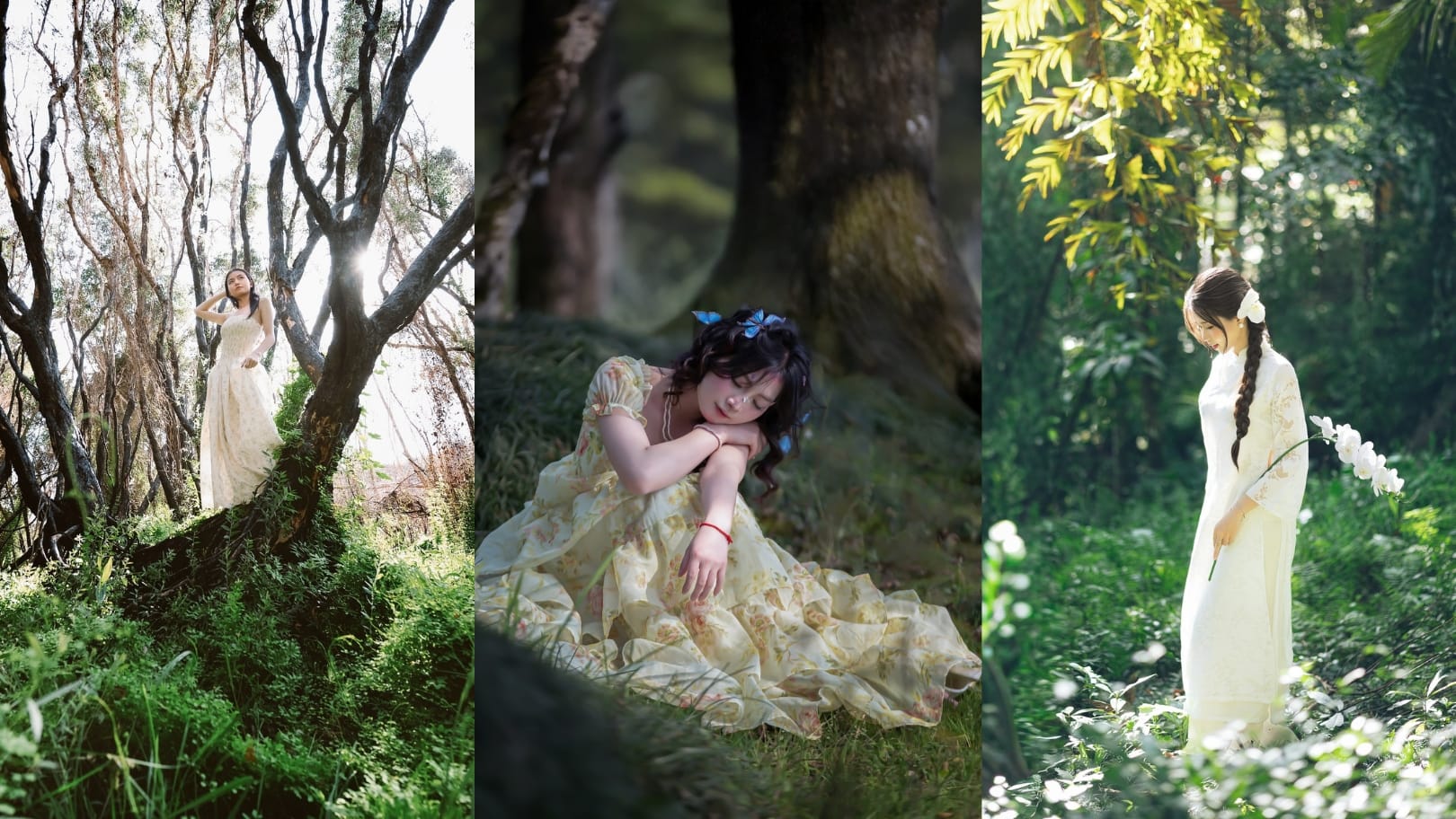 Chụp ảnh nghệ thuật trong rừng: Gợi ý concept và tạo dáng để có bộ ảnh “để đời”