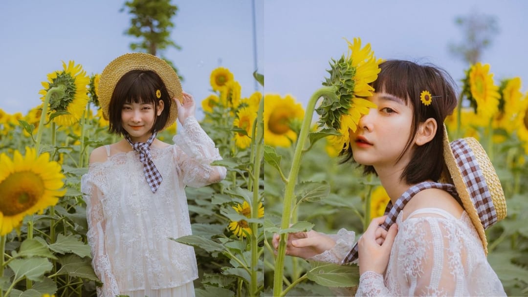 Tuyệt chiêu chụp ảnh với hoa hướng dương bắt trọn sắc vàng dưới nắng rực rỡ