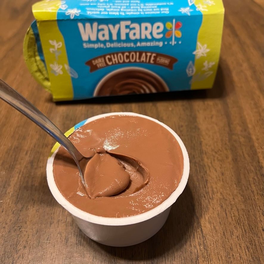 Wayfare Plant-Based Dairy-Free Chocolate Pudding Review