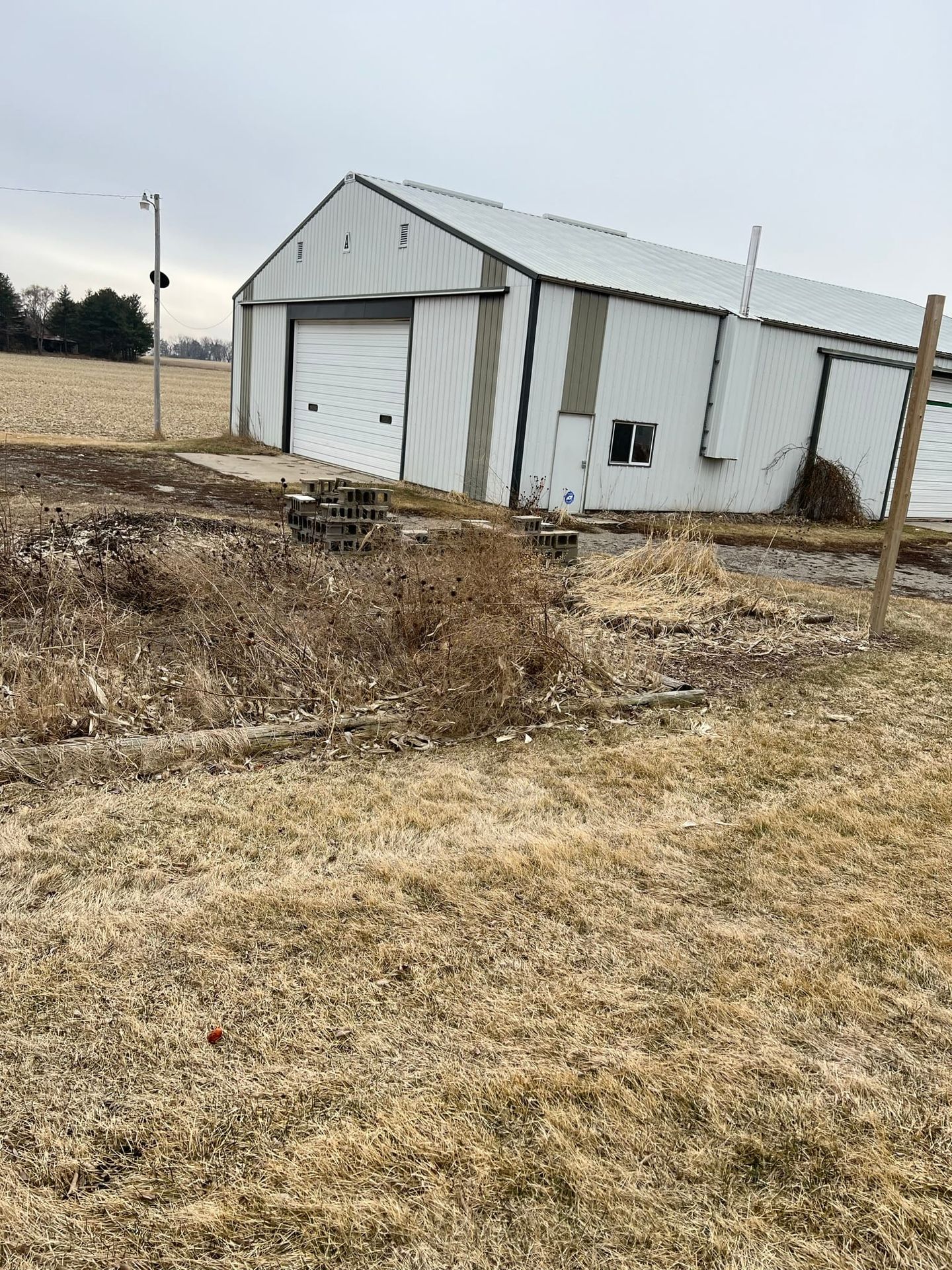 Cleaning Up Brush | Landscaping Diary 2