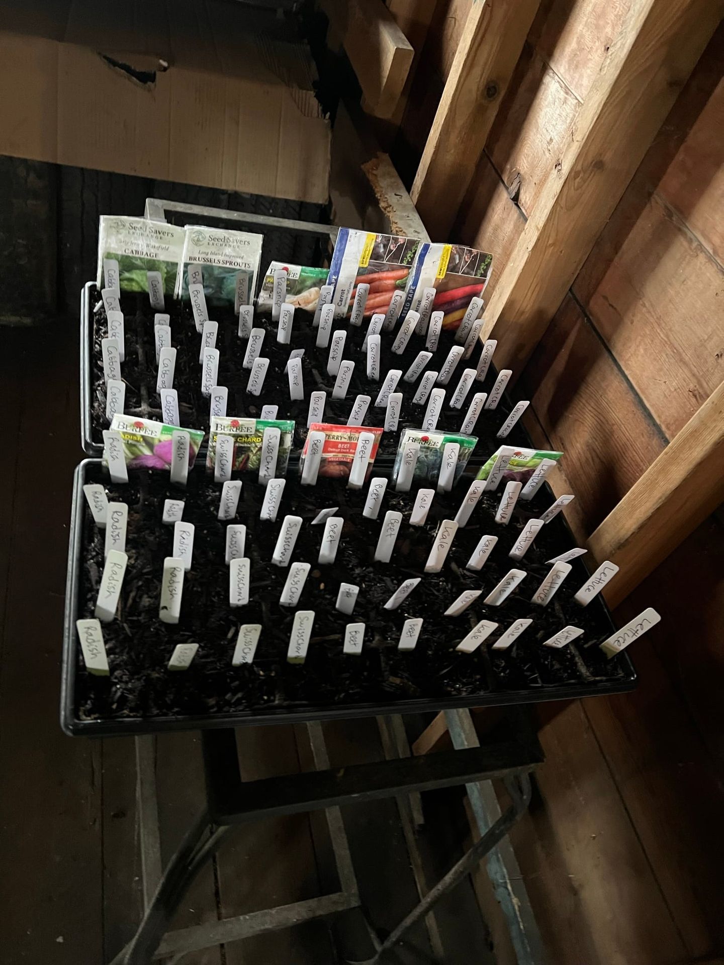 Label Seedlings | Gardening Diary 3