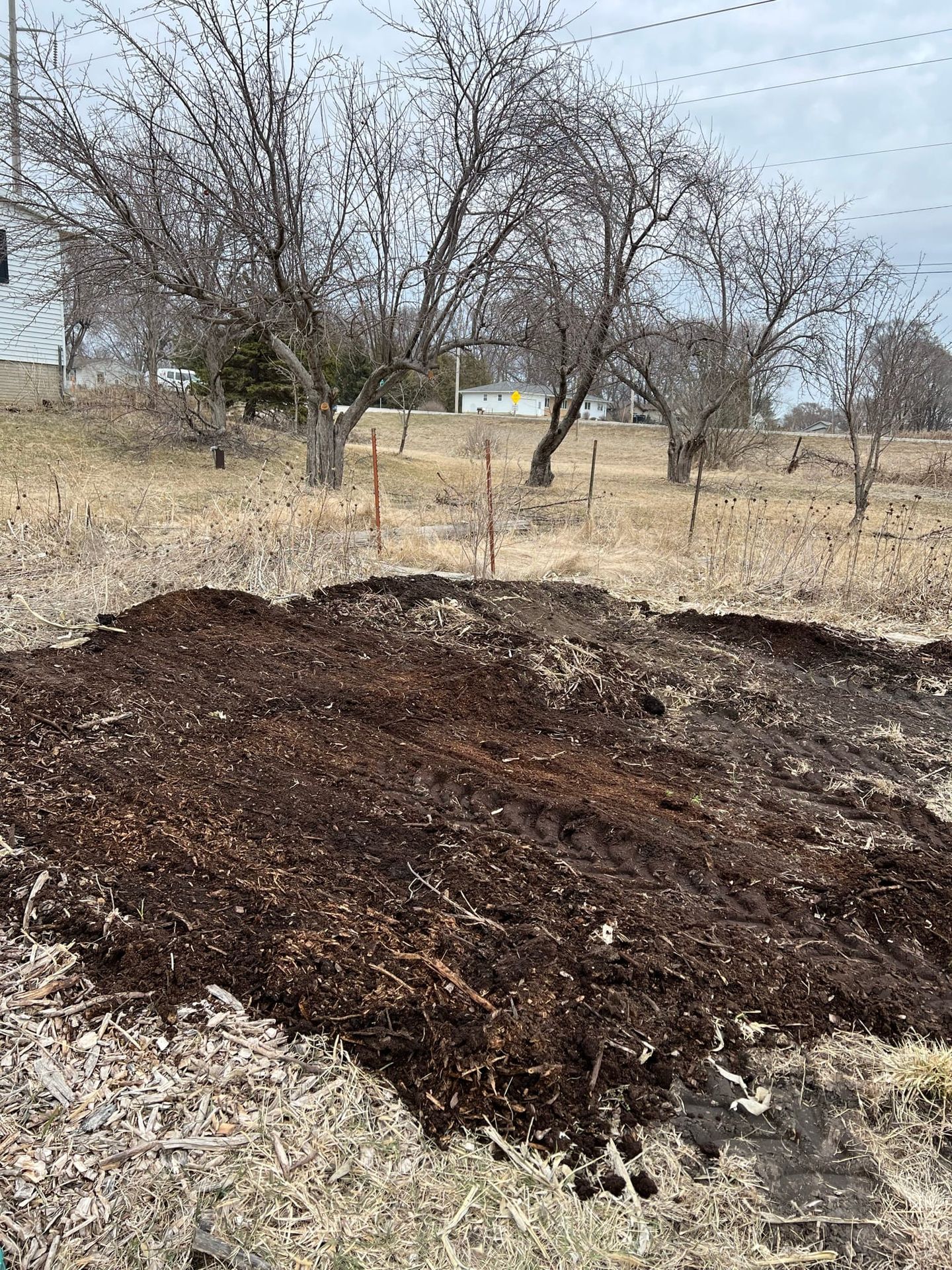 Leveling Garden | Gardening Diary 1