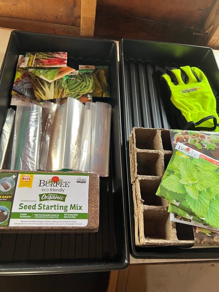 My Gardening Shed | Landscaping Diary 3