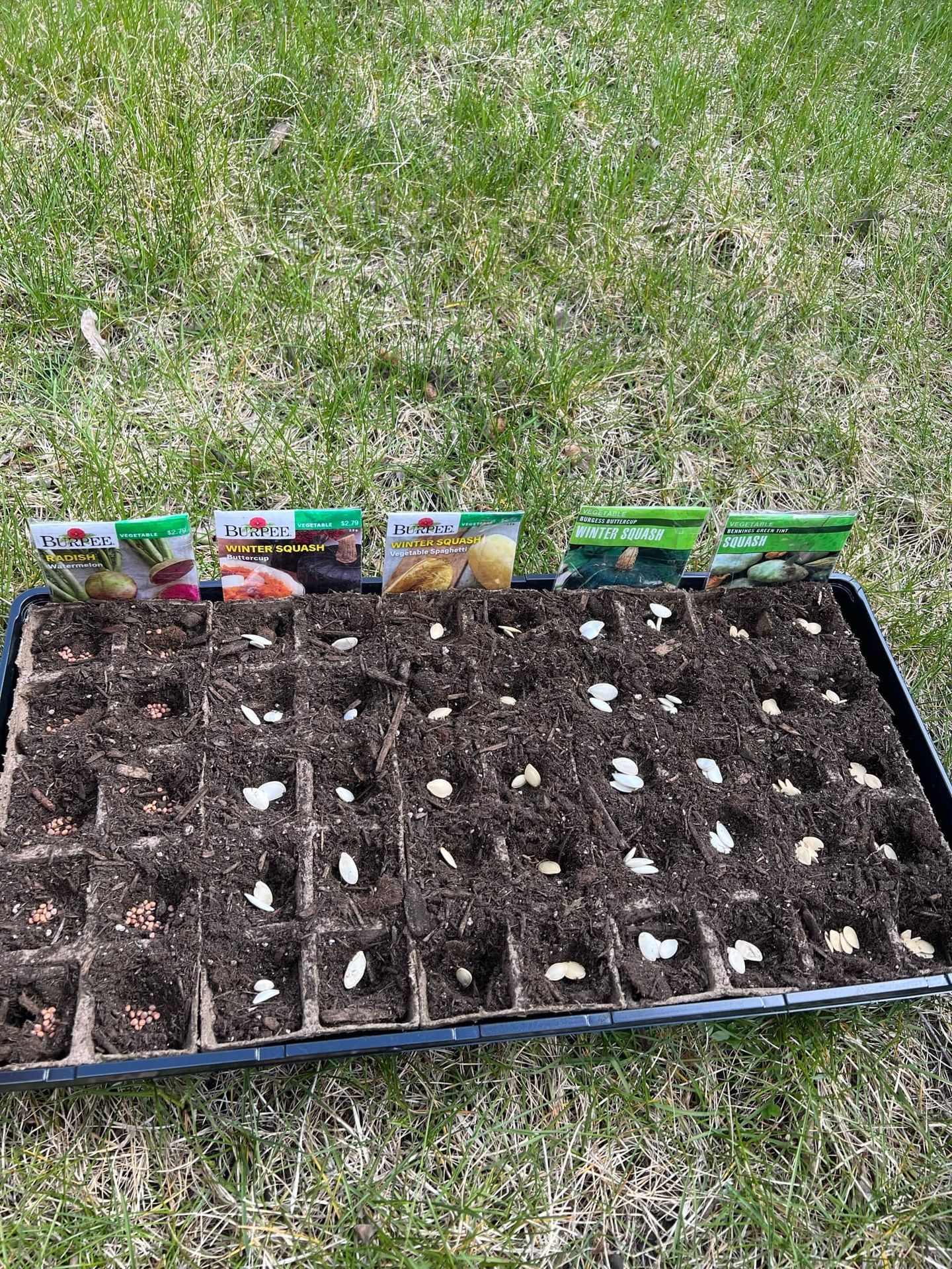 Plant Produce Seeds | Gardening Diary 4