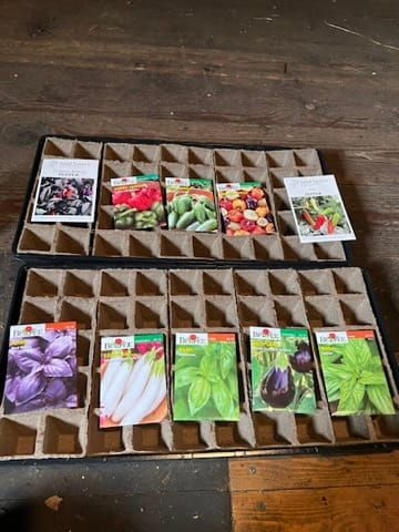 Plant Produce Seeds Inside | Gardening Diary 7