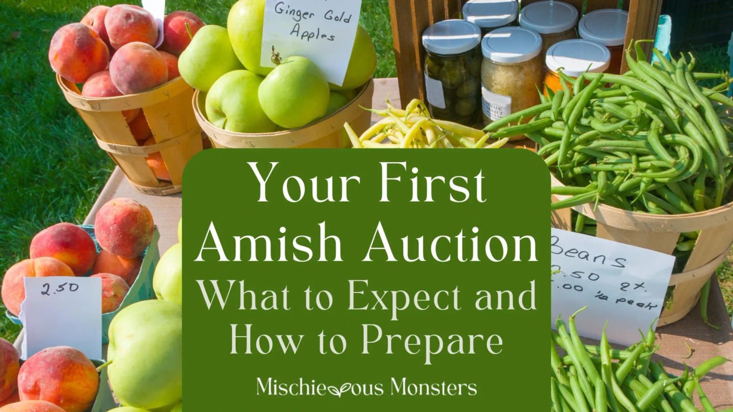 Your First Amish Auction: What to Expect and How to Prepare
