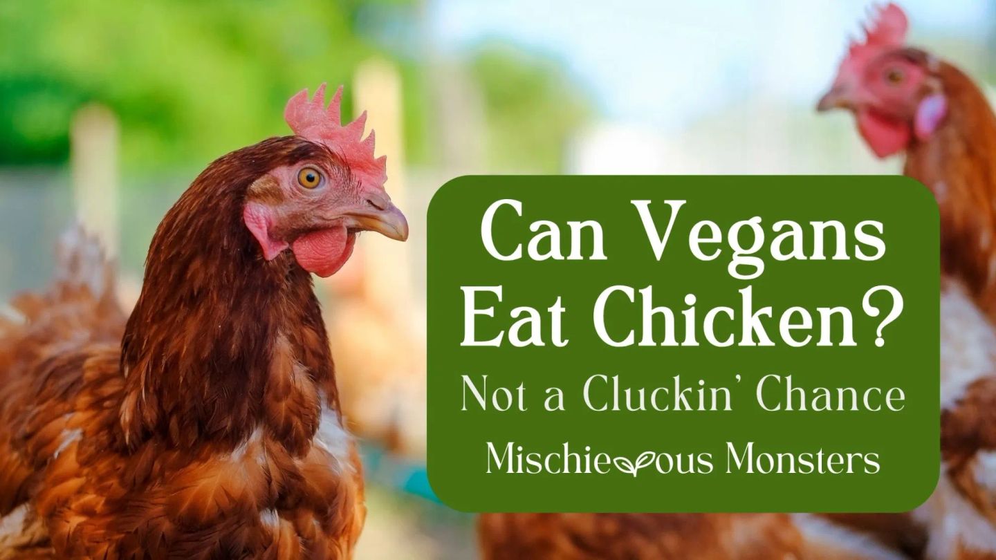 Can Vegans Eat Chicken? Not a Cluckin’ Chance