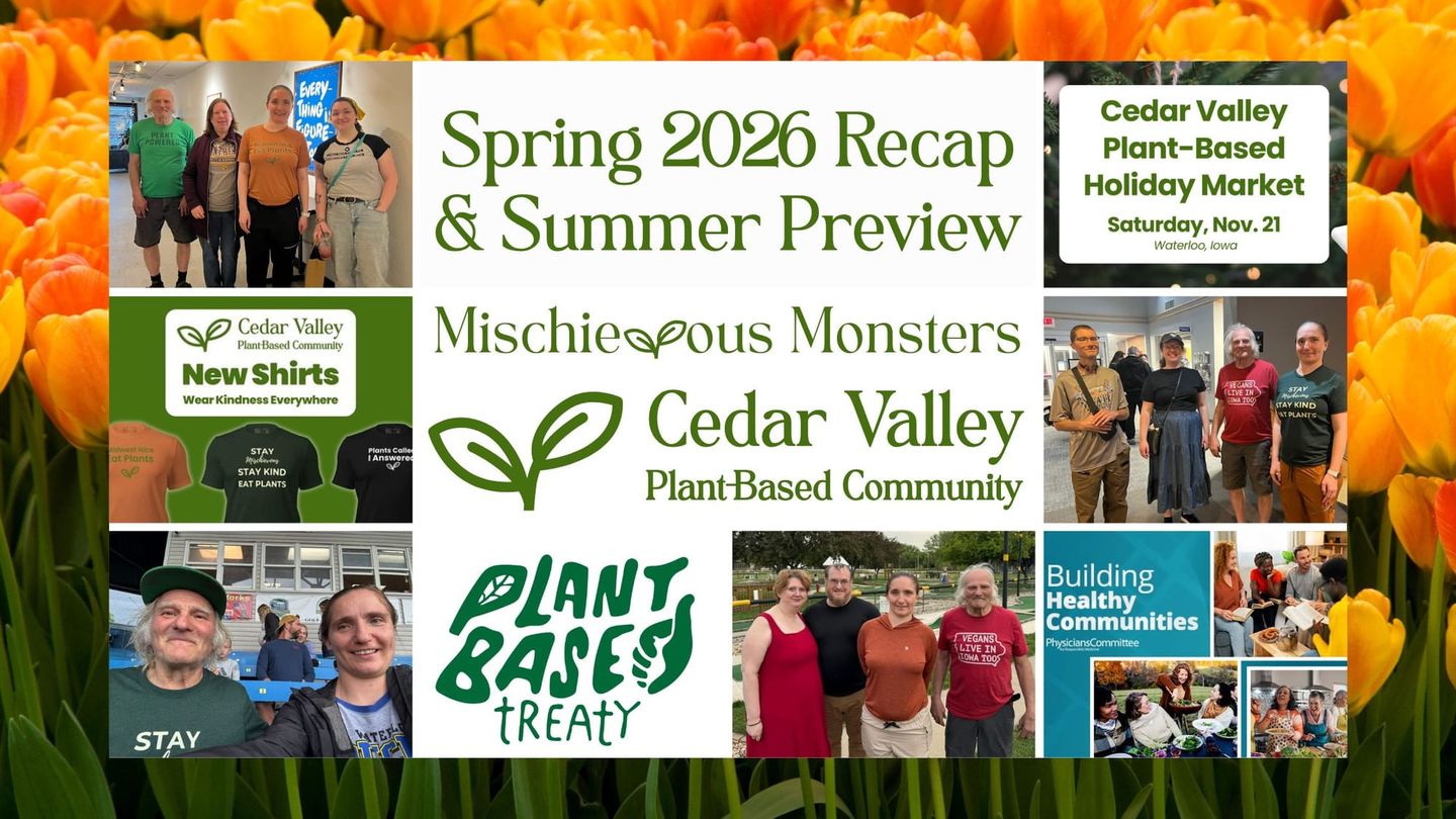 Spring 2026 Recap | Mischievous Monsters