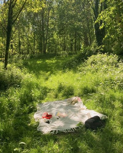 When your "normal" is everyone else's "overwhelmed"