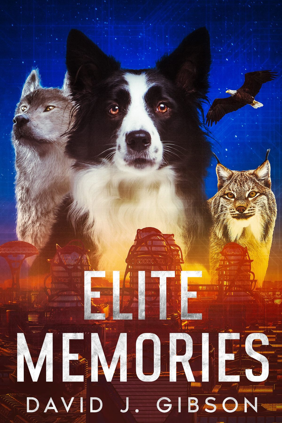 Discover Book: Elite Memories