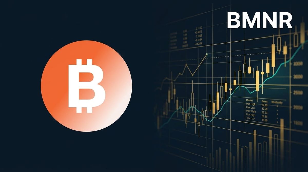 Bitmine Immersion Technologies (BMNR) Q Earnings Preview: What to Watch