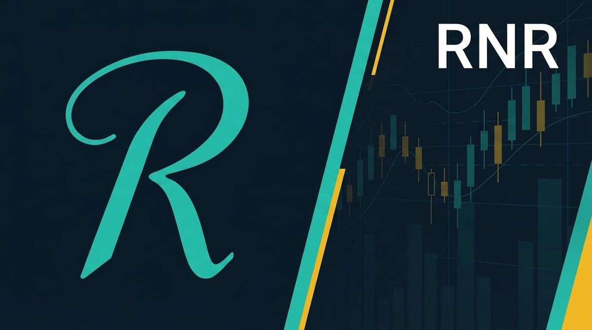 Is RenaissanceRe Holdings Ltd (RNR) Undervalued? A Valuation Analysis