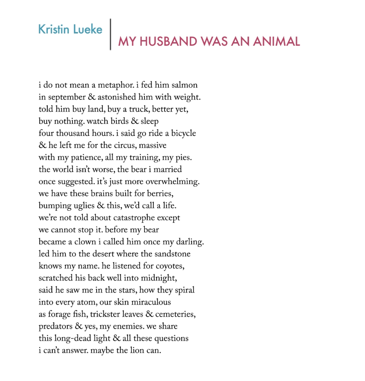 my husband was an animal  i do not mean a metaphor. i fed him salmon  in september & astonished him with weight.  told him buy land, buy a truck, better yet,  buy nothing. watch birds & sleep  four thousand hours. i said go ride a bicycle  & he left me for the circus, massive  with my patience, all my training, my pies.  the world isn’t worse, the bear i married once suggested. it’s just more overwhelming.  we have these brains built for berries,  bumping uglies & this, we’d call a life.  we’re not told about catastrophe except  we cannot stop it. before my bear  became a clown i called him once my darling.  led him to the desert where the sandstone  knows my name. he listened for coyotes,  scratched his back well into midnight,  said he saw me in the stars, how they spiral  into every atom, our skin miraculous  as forage fish, trickster leaves & cemeteries,  predators & yes, my enemies. we share  this long-dead light & all these questions  i can’t answer. maybe the lion can.
