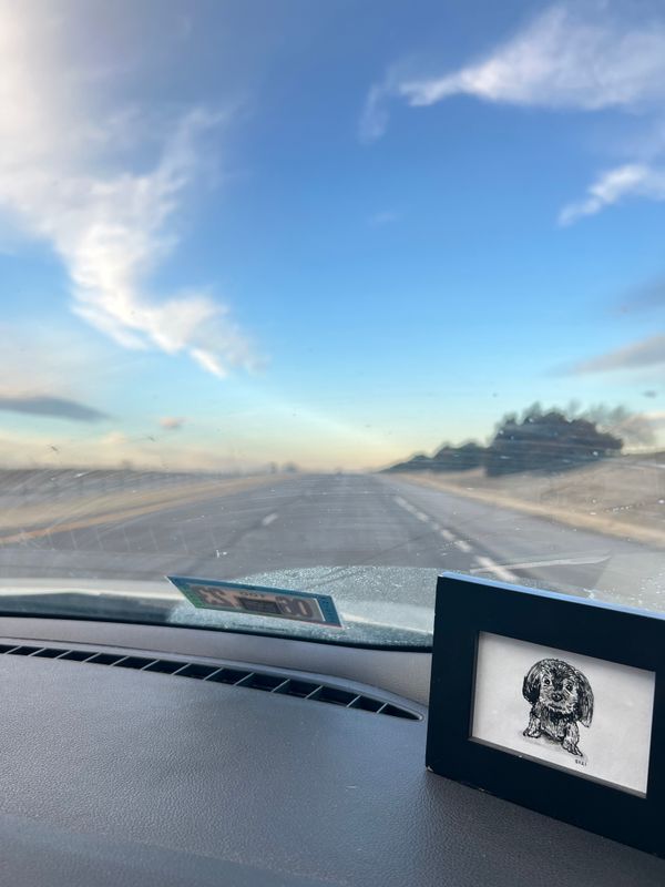 I was every inch an animal