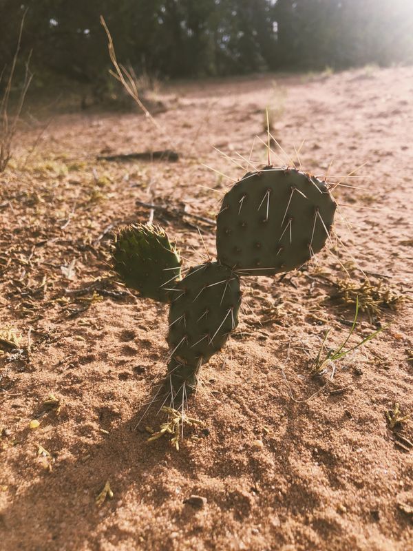 In the middle of everything