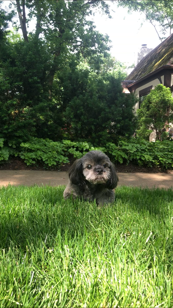 What the heart wants