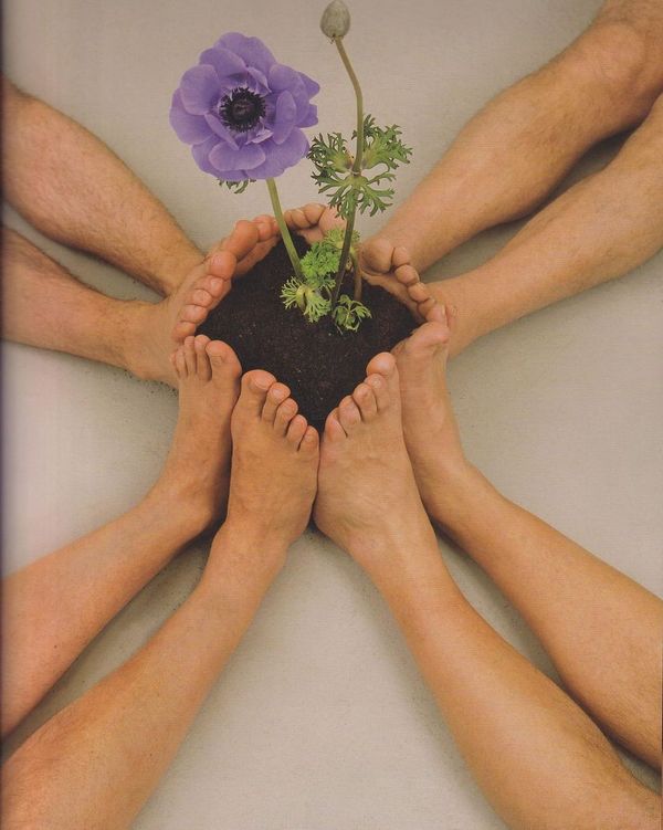 Vining toward repair