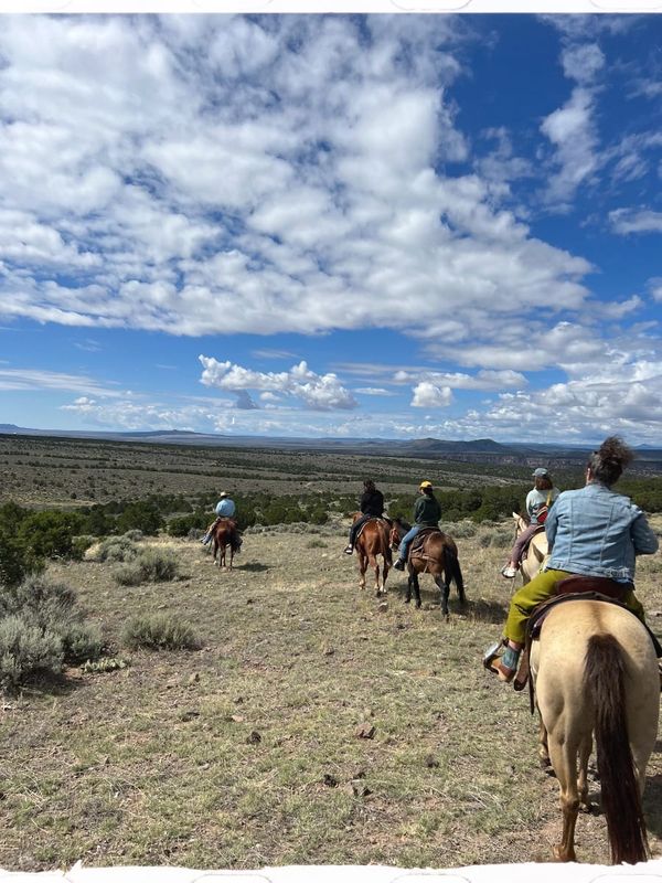 These hands that have always held you