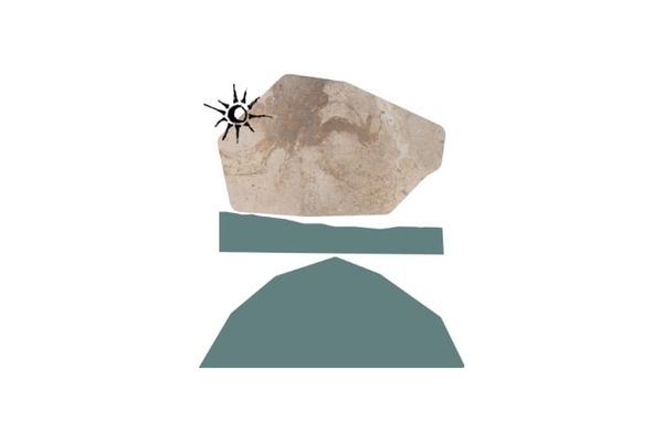 This is the shape of the world