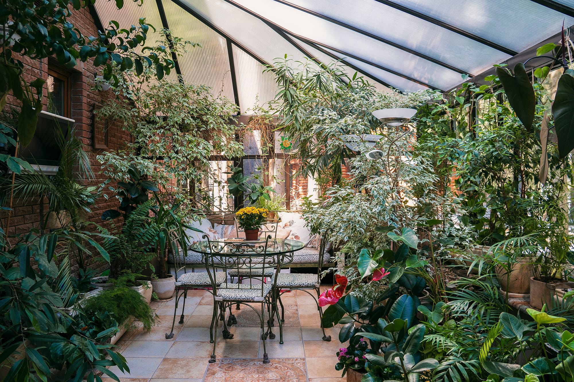 A sun-lit greenhouse filled with lush foliage and a small glass dining table at the center with 4 chairs.