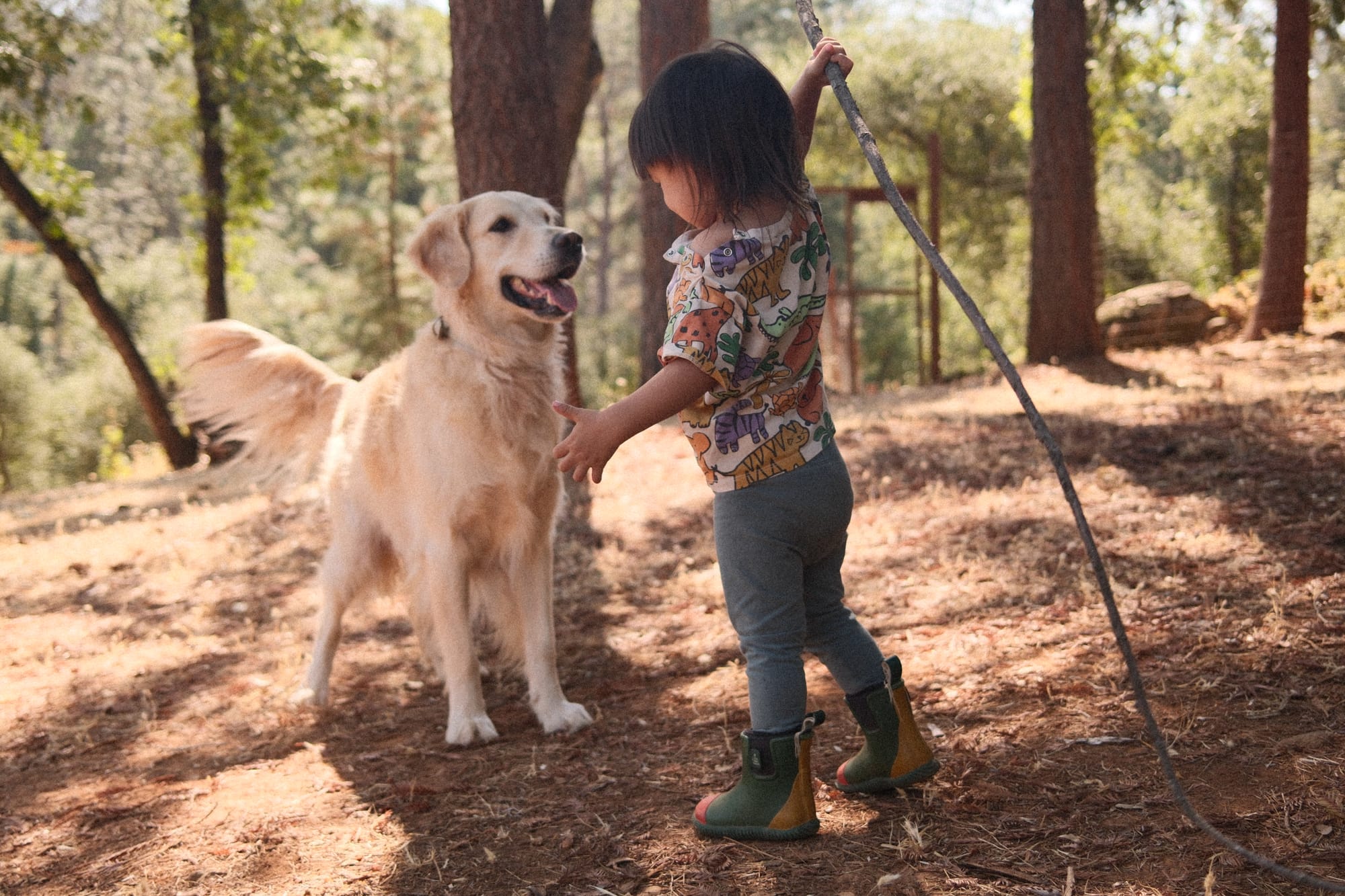 Homesteading as an Antidote to Doomscrolling