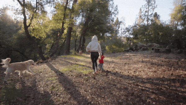 Come Tour Our Homestead on 3.5 Acres