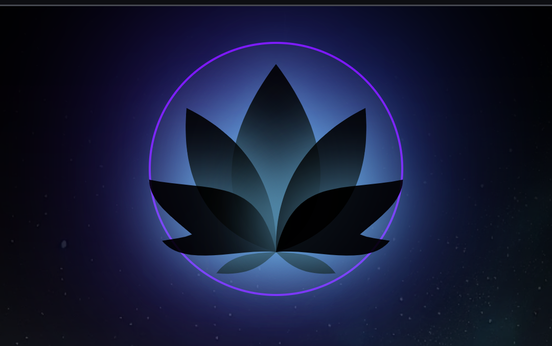 Two Days in the Flow: What's New in Seed Yoga 🌌🧘