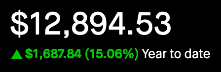 Portfolio - Year to Date - Feb 11, 2025