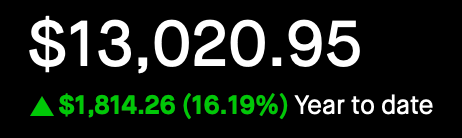 Portfolio - Year to Date - Feb 13, 2025