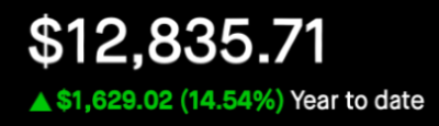 Portfolio - Year to date view