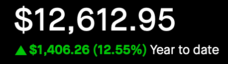 Portfolio - Year to Date - Feb 12, 2025